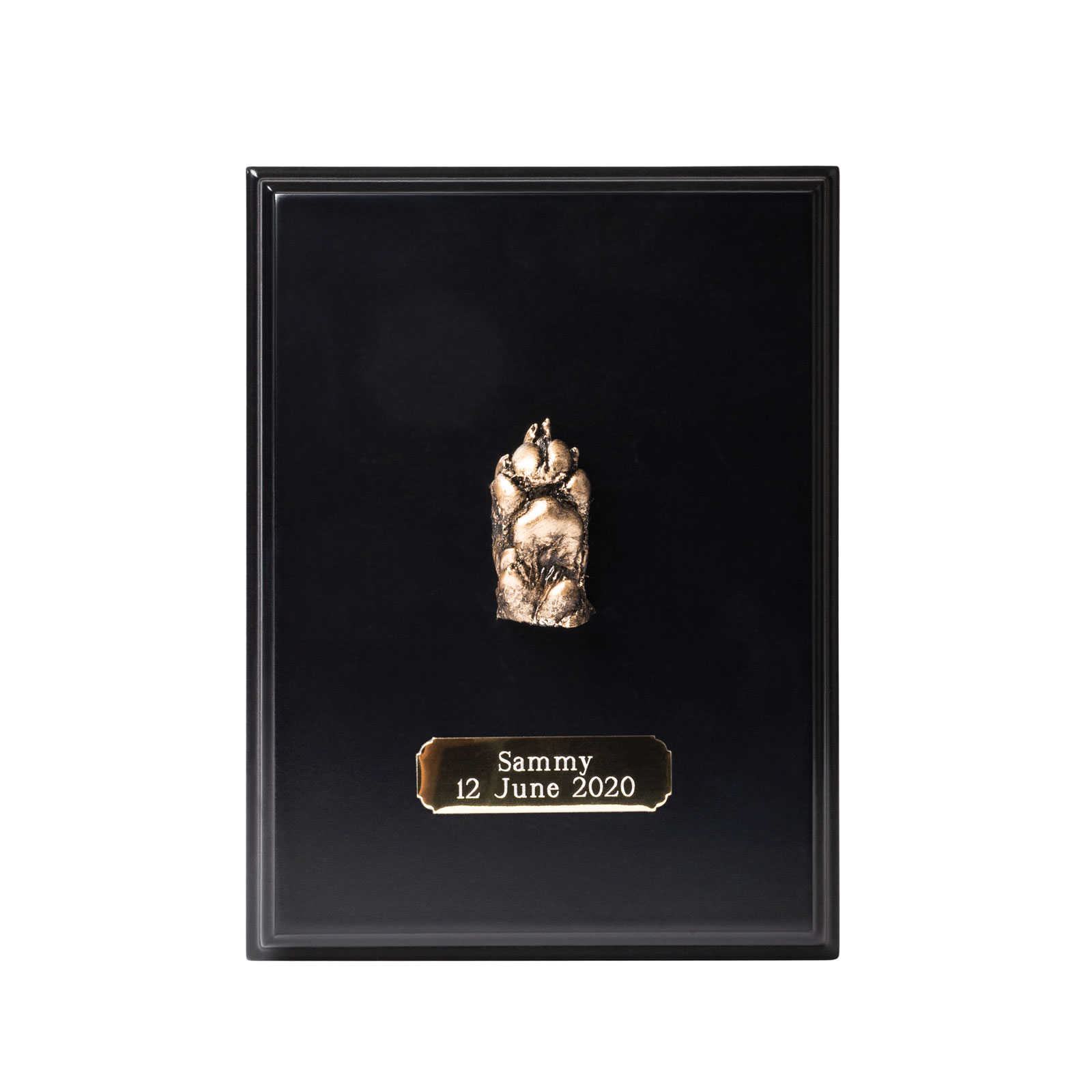 Paw Castings 180 450 Pets At Peace Central West