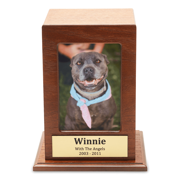 Oak Finish Portrait Photo Box