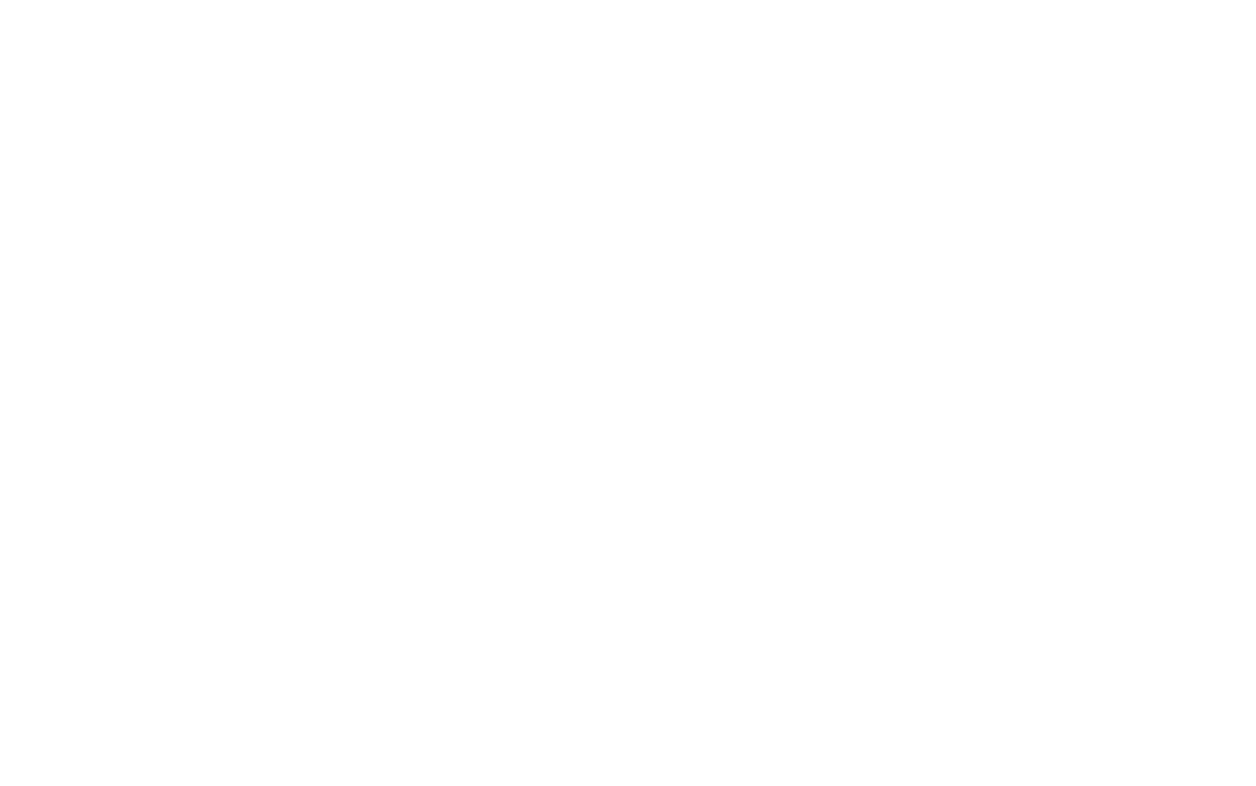 Sophie's Legacy