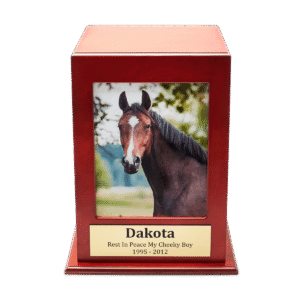 Cherry Horse Photo Box