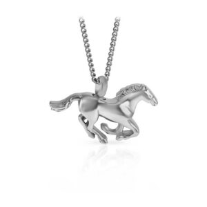 Silver Beauty Pendant